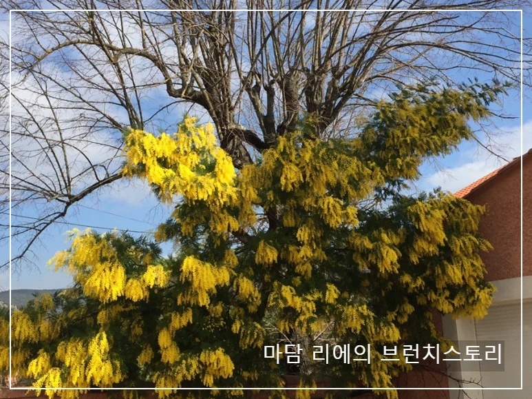 IMG_8555.JPG?type=w773