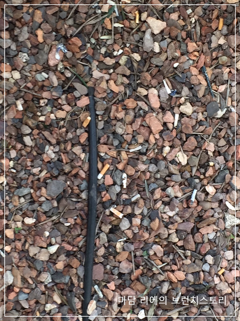 IMG_8546.JPG?type=w773