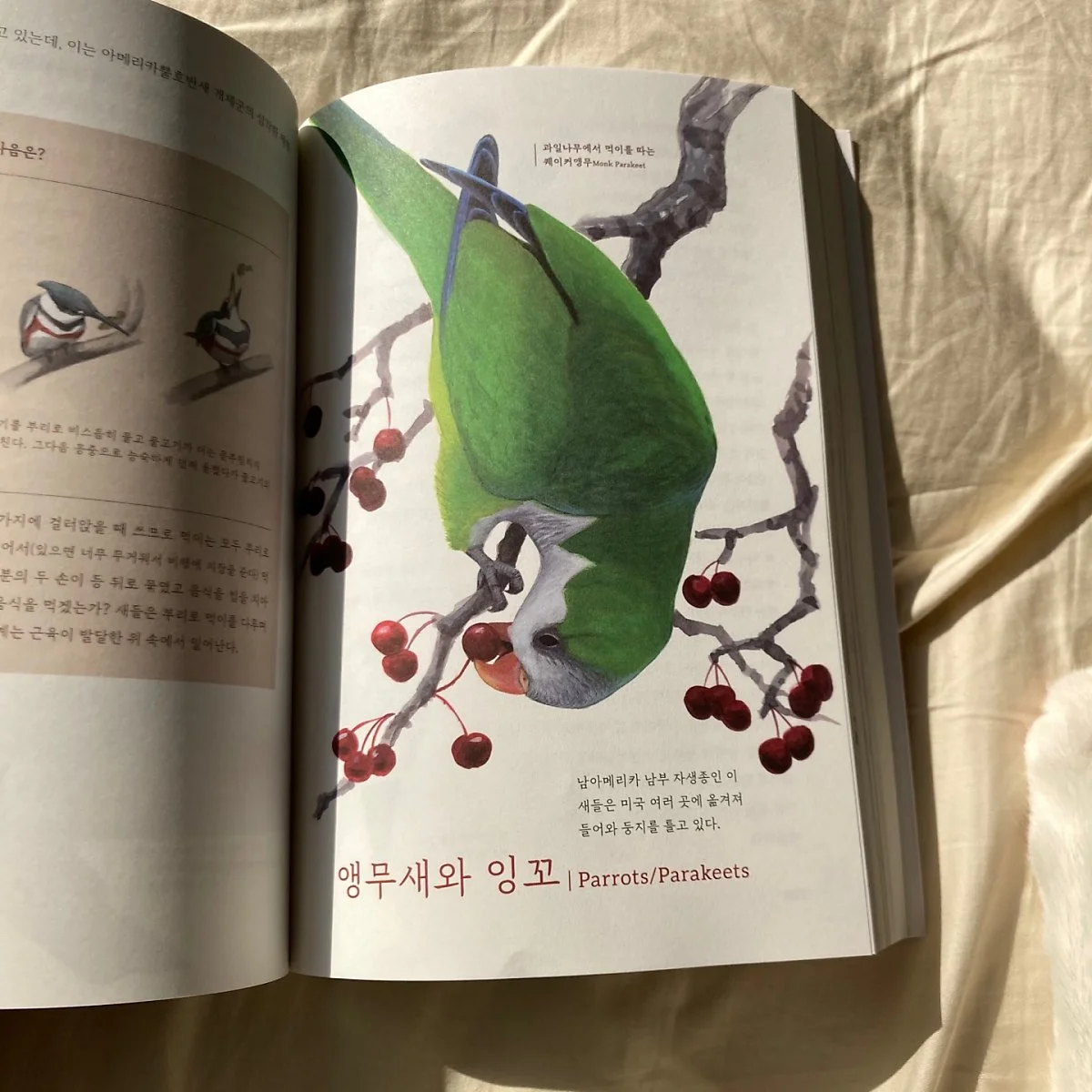 KakaoTalk_20210322_132327711.jpg?type=w1200