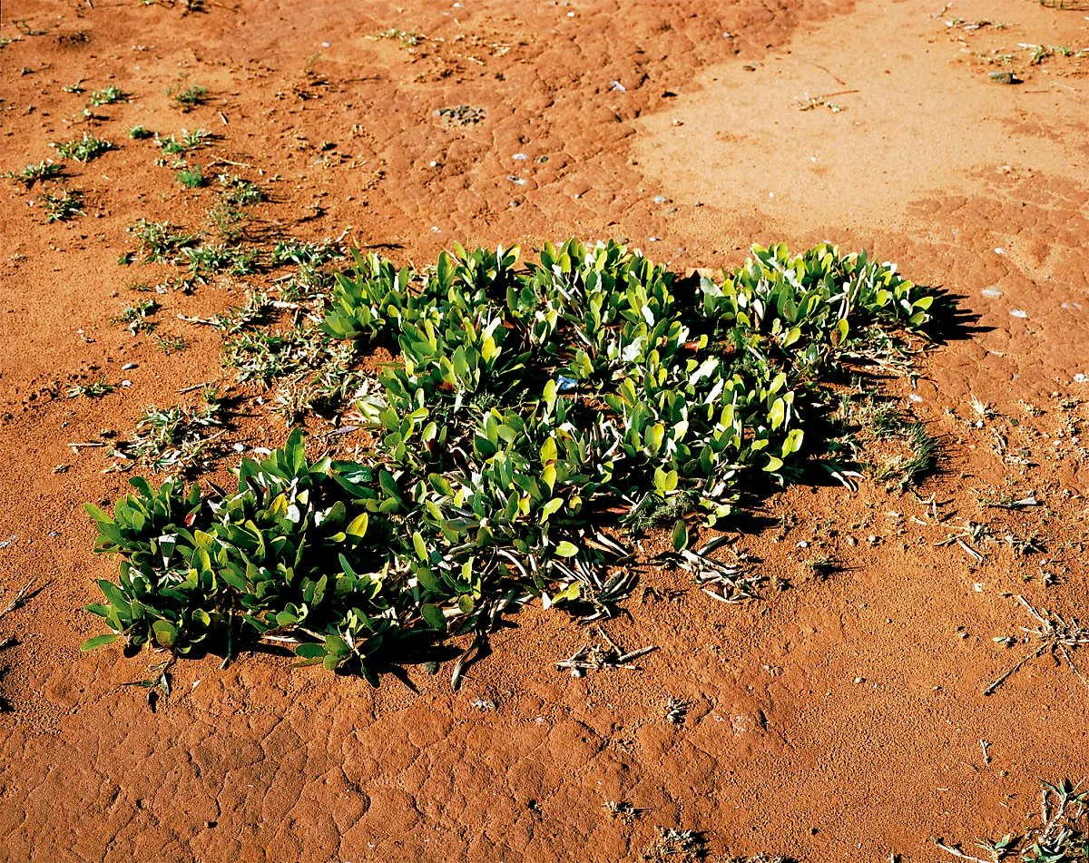 Sussman_ch5_085_Underground__%EC%82%AC%EB%B3%B8.JPG?type=w1200