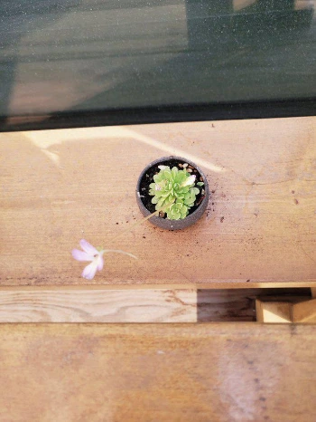 EVdJhV8UwAE7Xsi.jpg?type=w1200