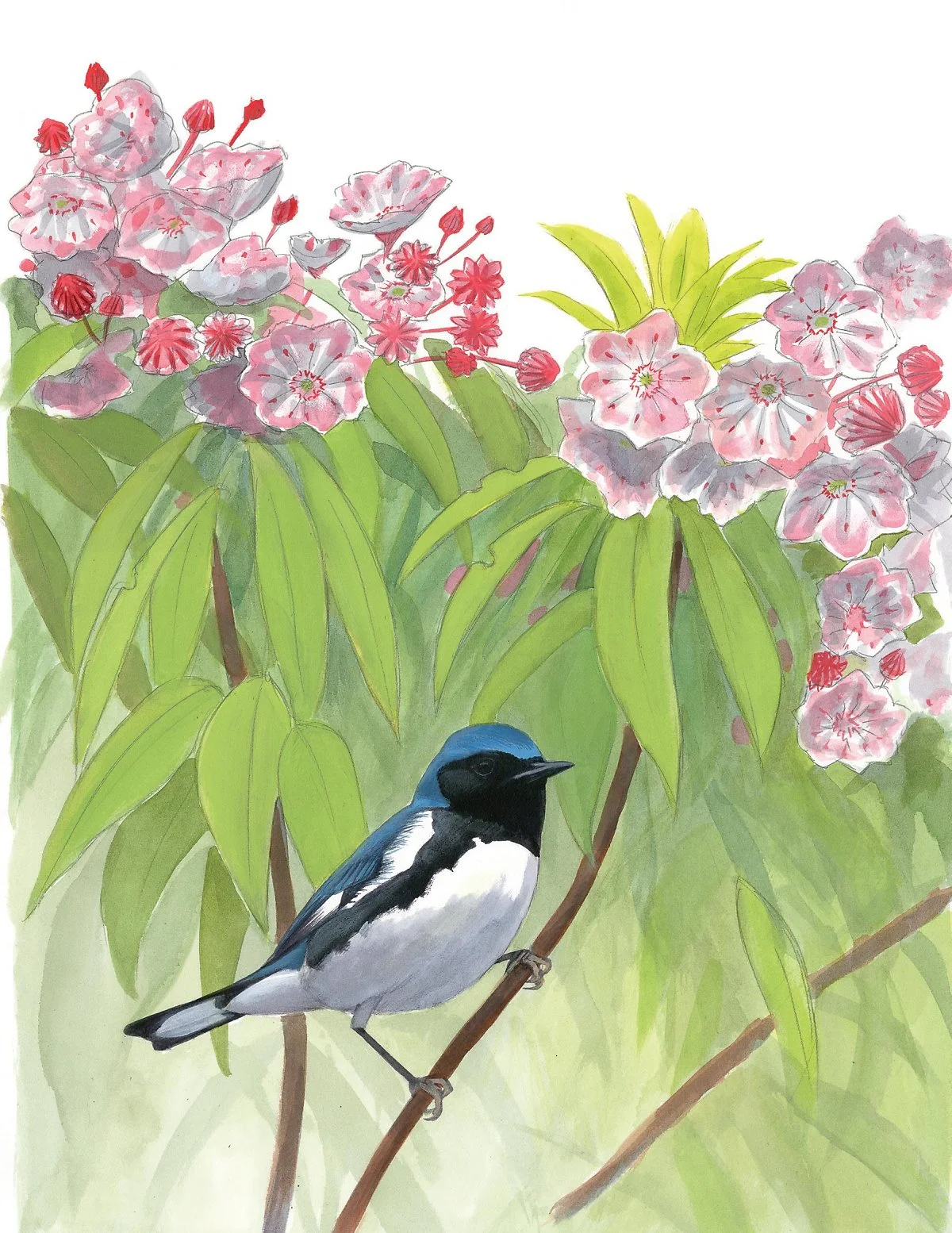 %EC%88%B2%EC%86%94%EC%83%88.jpg?type=w1200