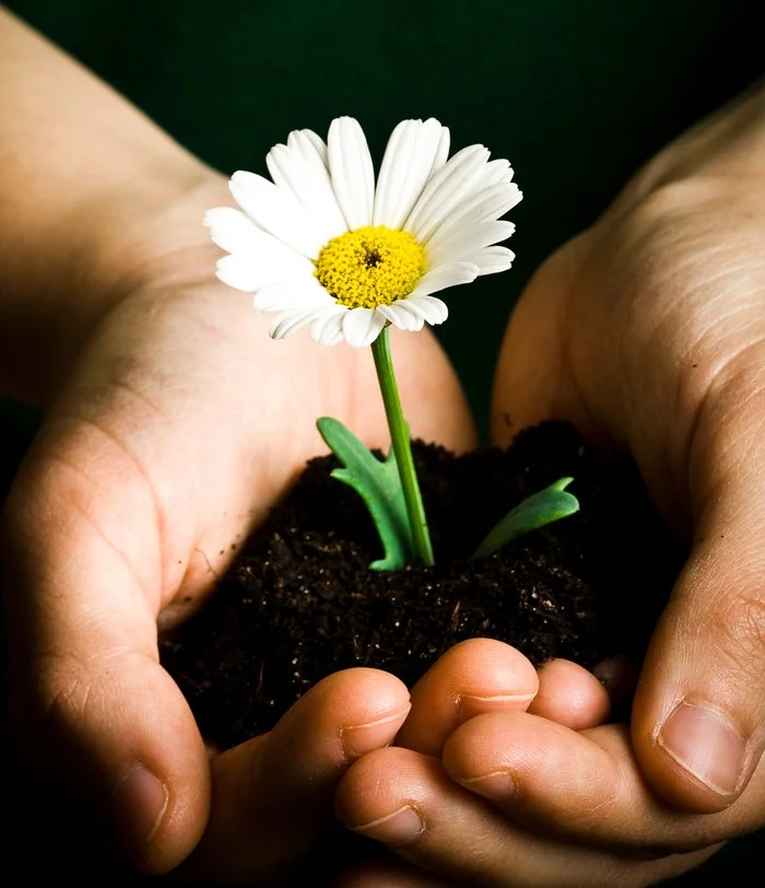 image_2546751371615973699469.jpg?type=w1200