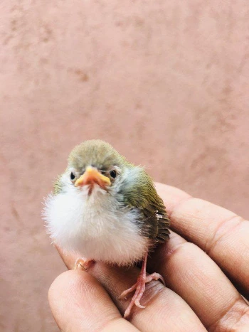 image_2224328591616978930546.jpg?type=w1200