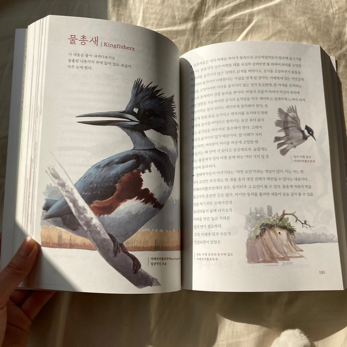 KakaoTalk_20210322_132327029.jpg?type=w1200