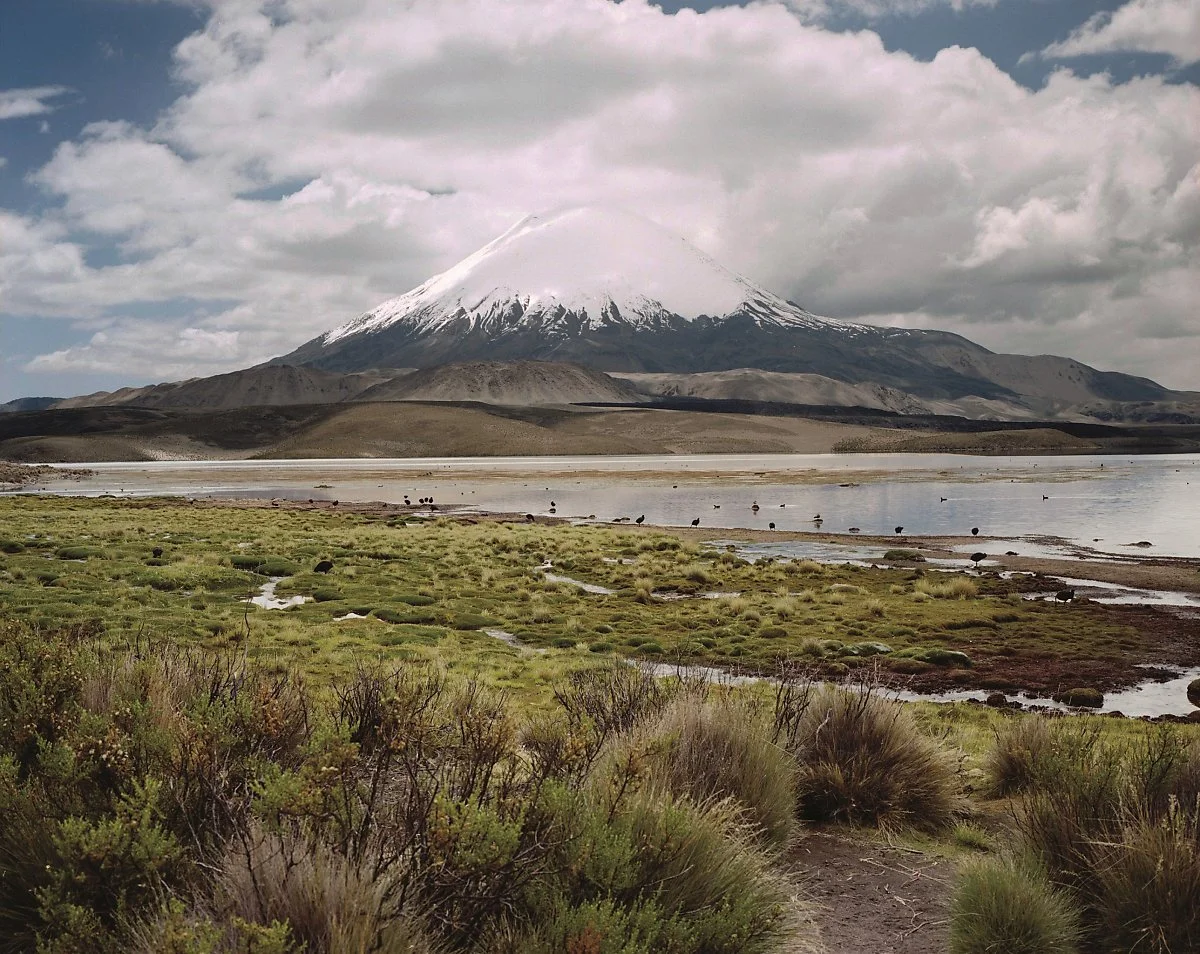 image_6021069121594193594258.jpg?type=w1200