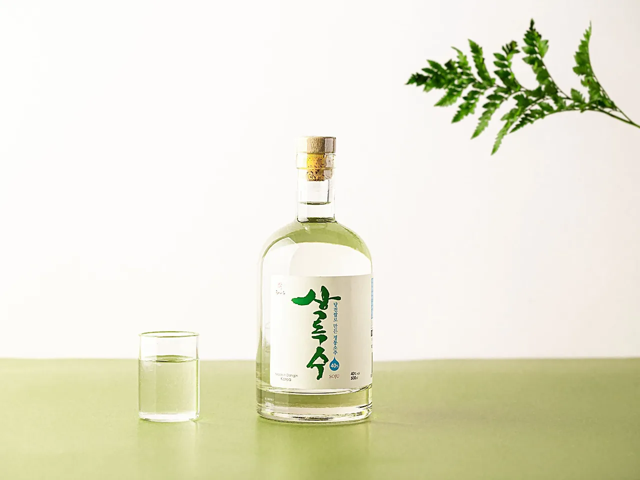 상록수 40.jpeg