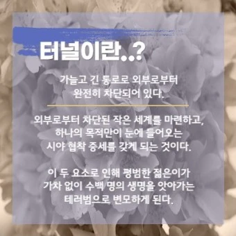 ?src=http%3A%2F%2Fblogfiles.naver.net%2FMjAyMzA0MTNfMjU2%2FMDAxNjgxMzc0MjE0MzQ0.aXFzyJIZAN00xLdpsv_cRDldpMhYLV4-sl6E9Emj4dUg.K5upGQ5xg5LkQAxwip67QfKw6VTu449netYfIiFkBRcg.JPEG.neko_bus%2F001.jpg&type=a340