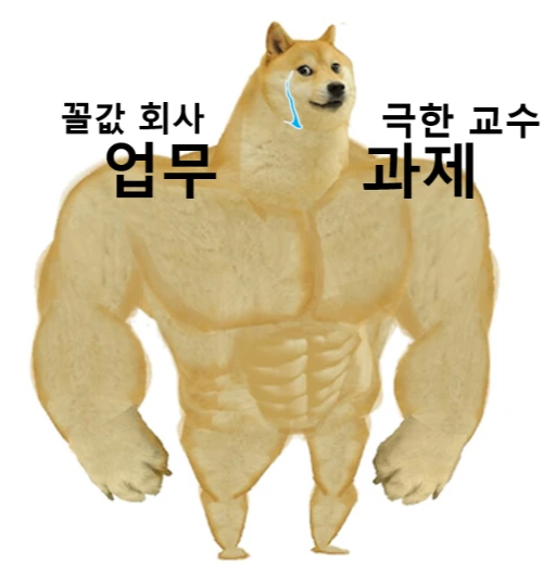 120185_2678271_1740986202549588951.png?84lvq91m