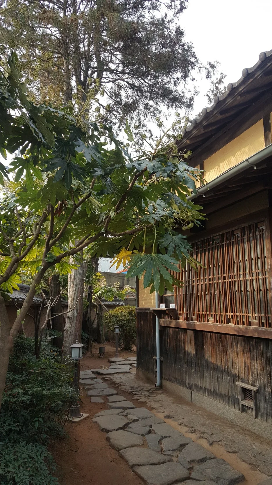 KakaoTalk_20240301_211844179.jpg?type=w1