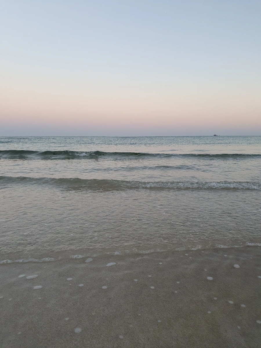 1700113560734.jpg?type=w1