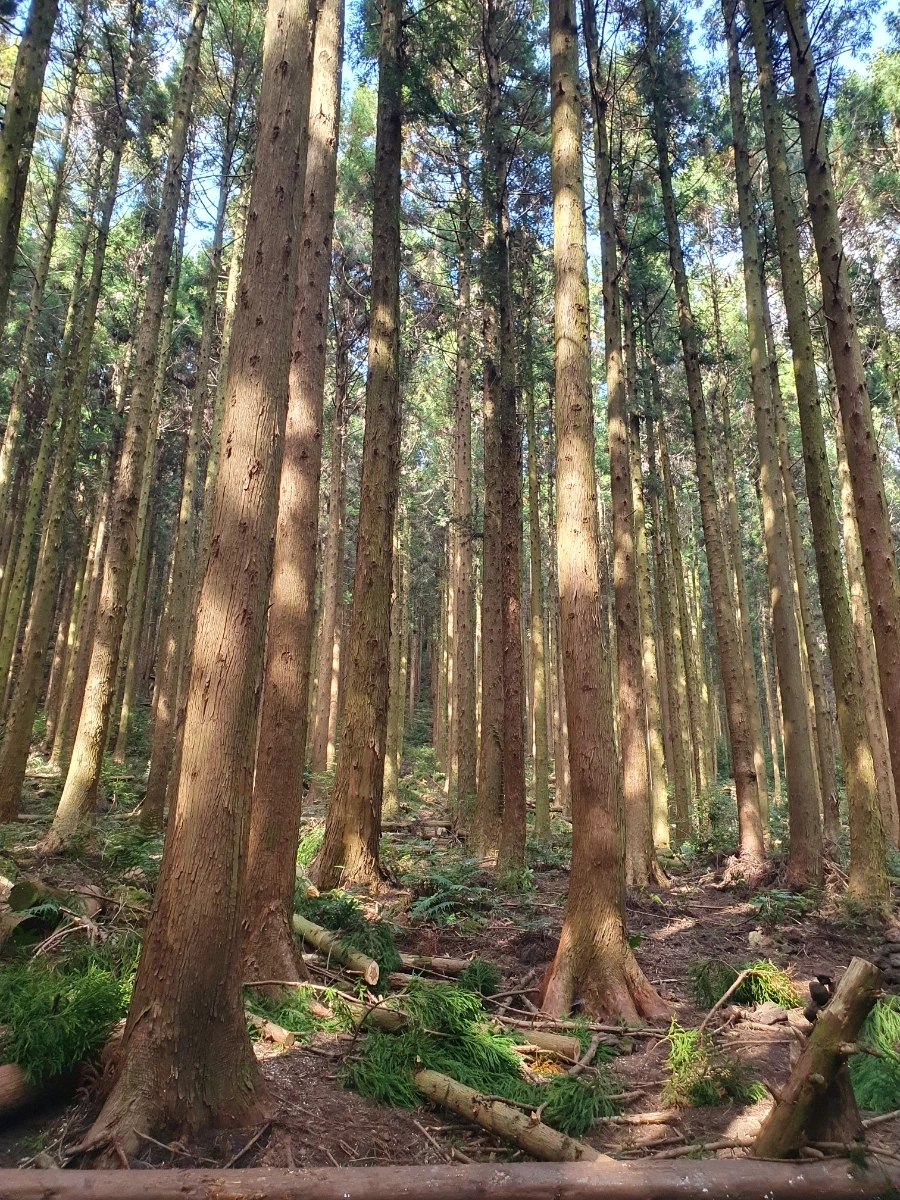 1700113000931.jpg?type=w1