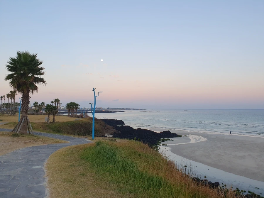 1700113561772.jpg?type=w1