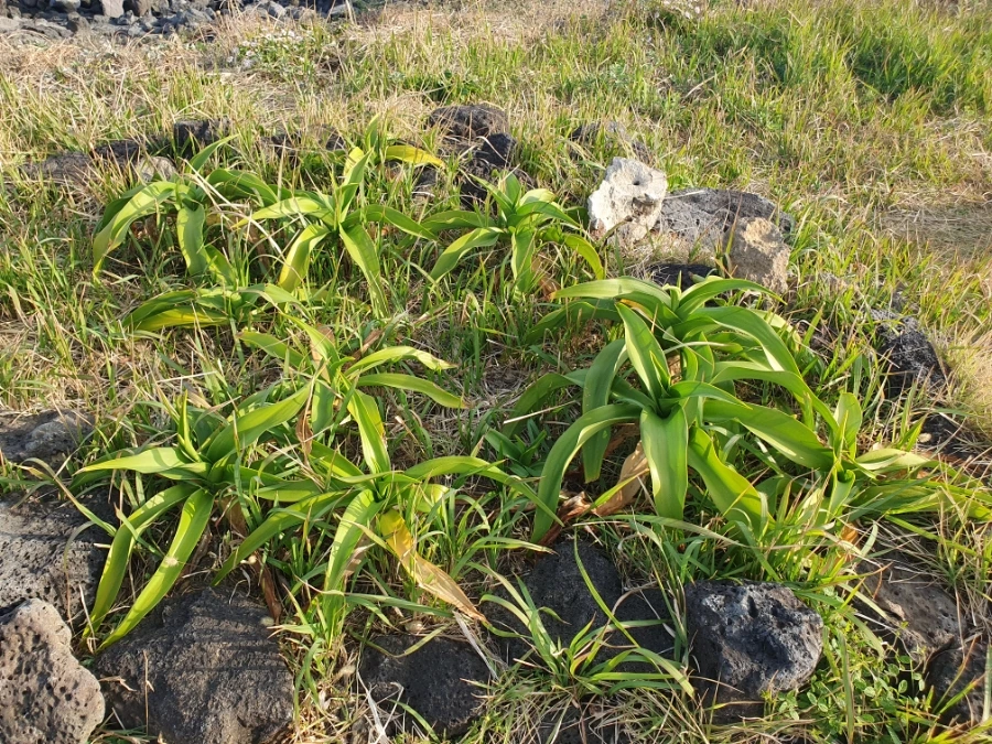 1700112804632.jpg?type=w1