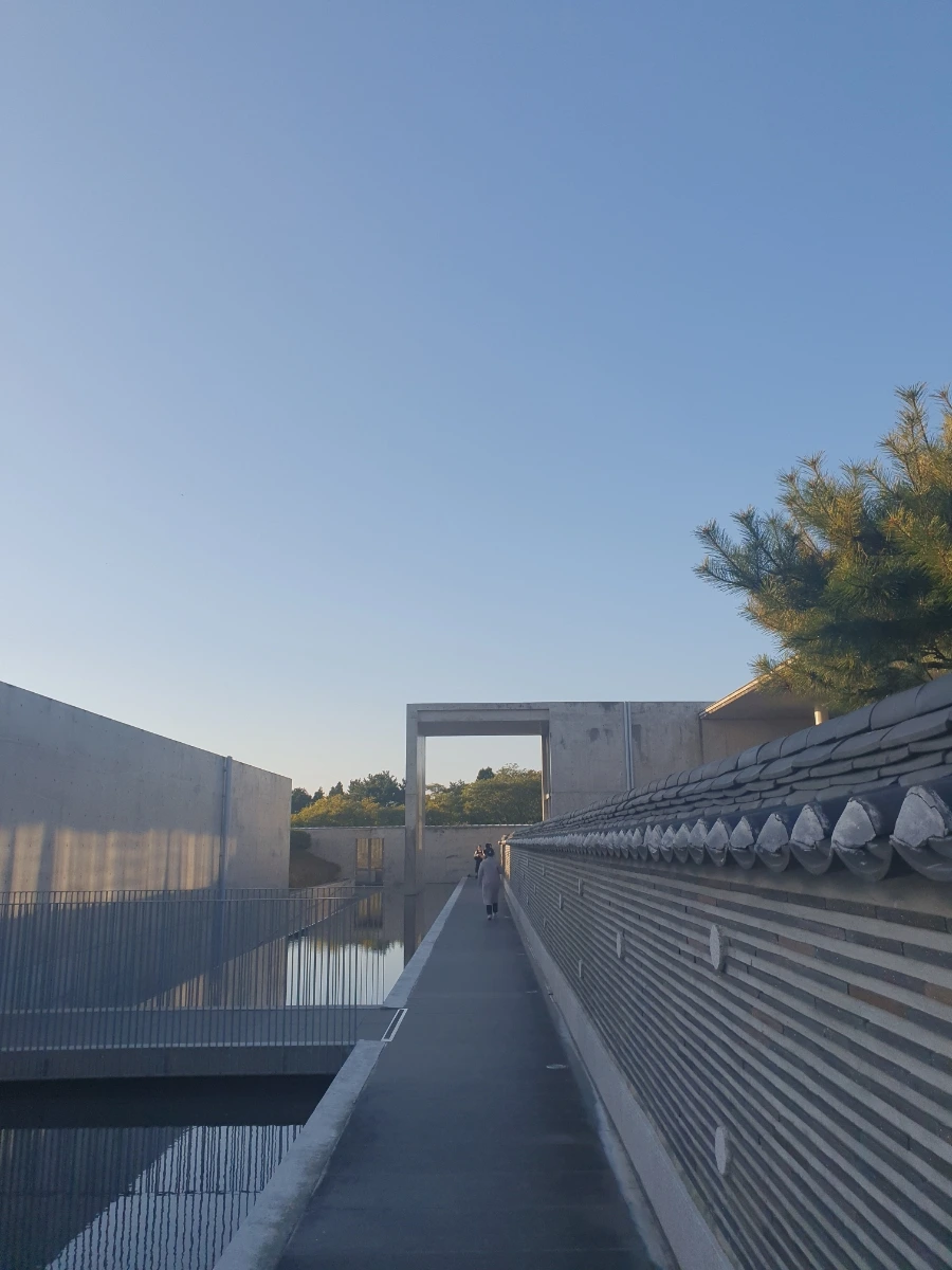 1700112954365.jpg?type=w1