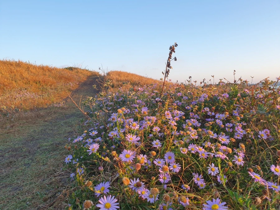 1700112972568.jpg?type=w1