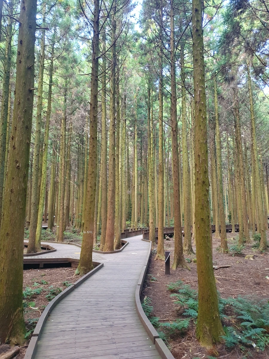 1700113001036.jpg?type=w1