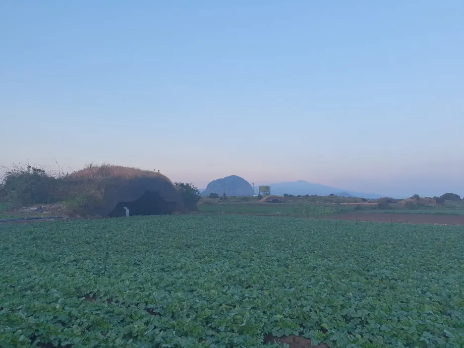 KakaoTalk_20240702_210518155_01.jpg?type=w1