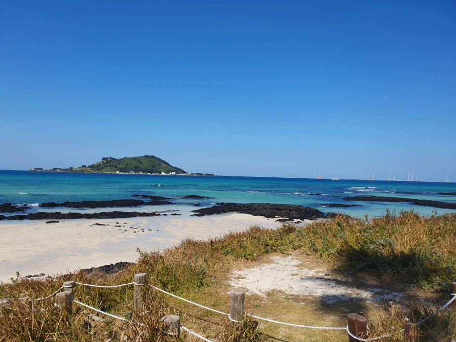 1700112917419.jpg?type=w1