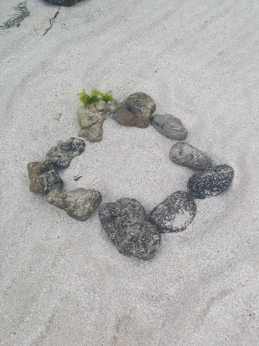 1700113560107.jpg?type=w1