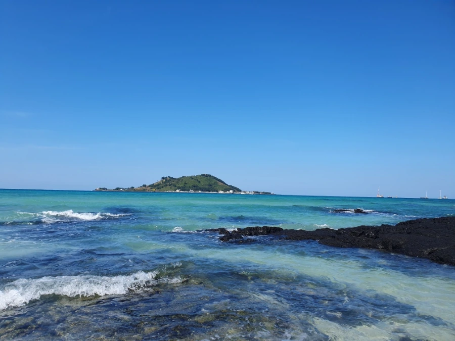 1700112917841.jpg?type=w1