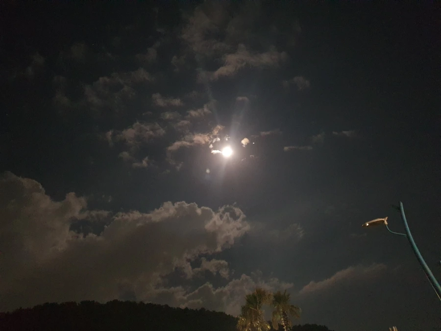 1700113103288.jpg?type=w1