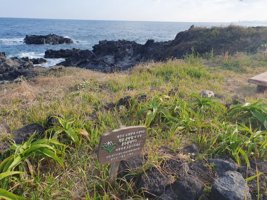 1700112804455.jpg?type=w1