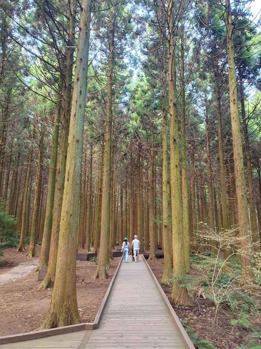 1700113000859.jpg?type=w1