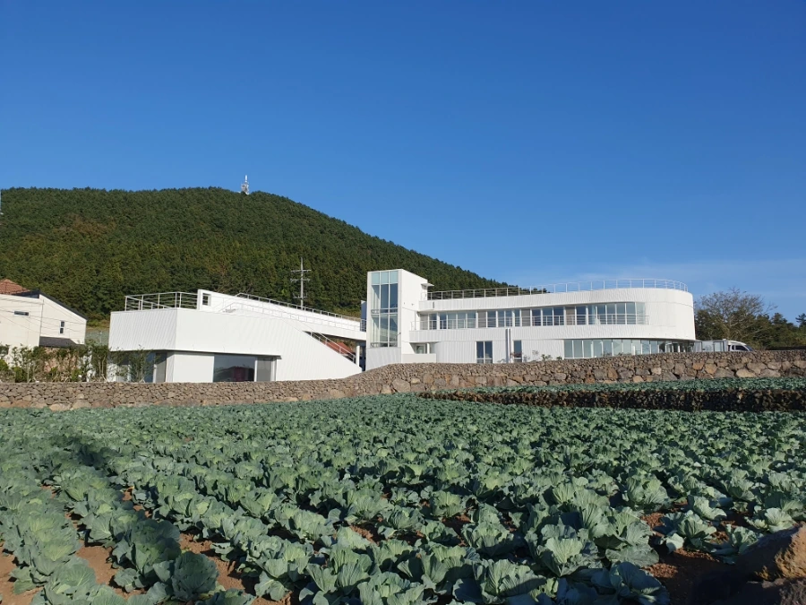 1700112942480.jpg?type=w1