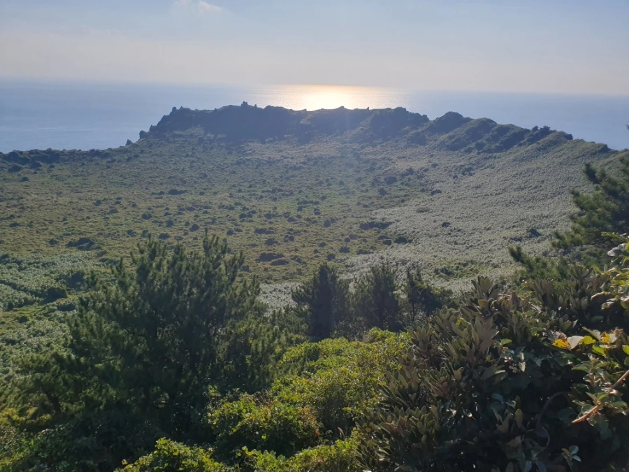 1700112981525.jpg?type=w1