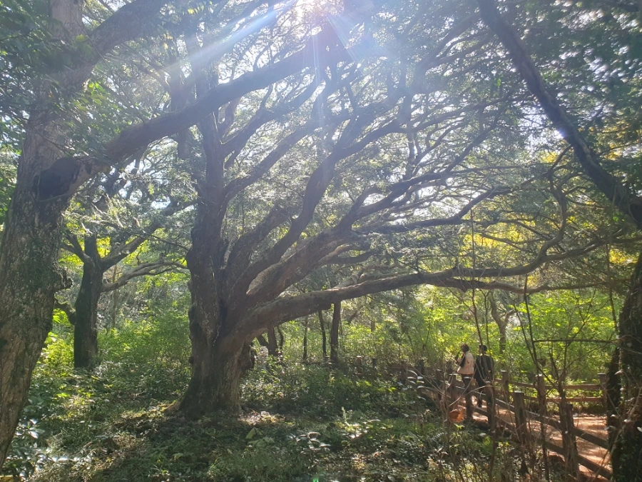 1700112991717.jpg?type=w1