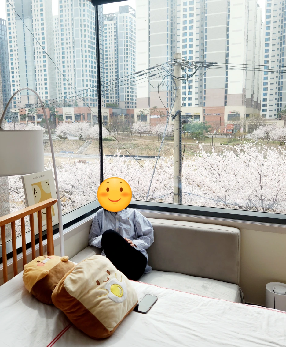 SE-c88cfb41-24ab-42be-9d08-c54abc2e7509.png?type=w1