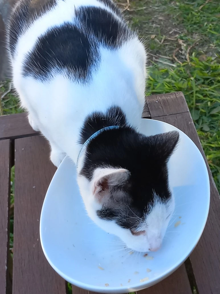 20230529_152147.jpg?type=w773