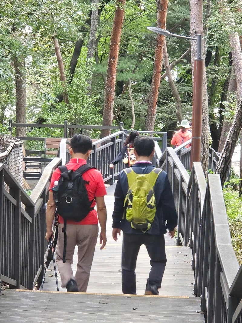 KakaoTalk_20251123_193520504.jpg?type=w800