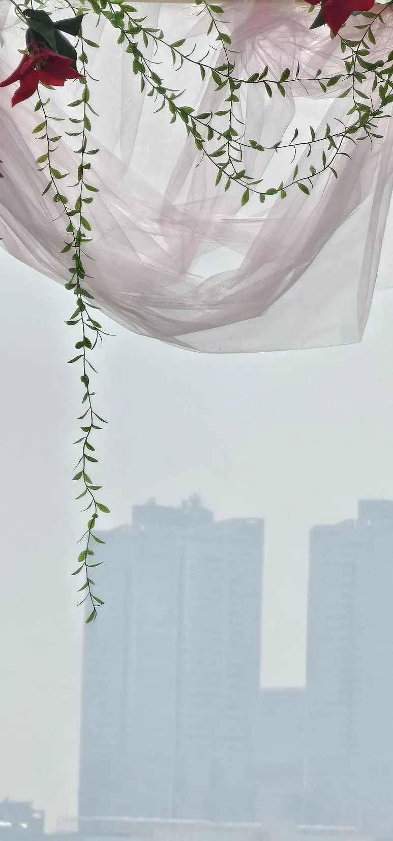 temp_1716936810595.-1942956941.jpeg?type=w773