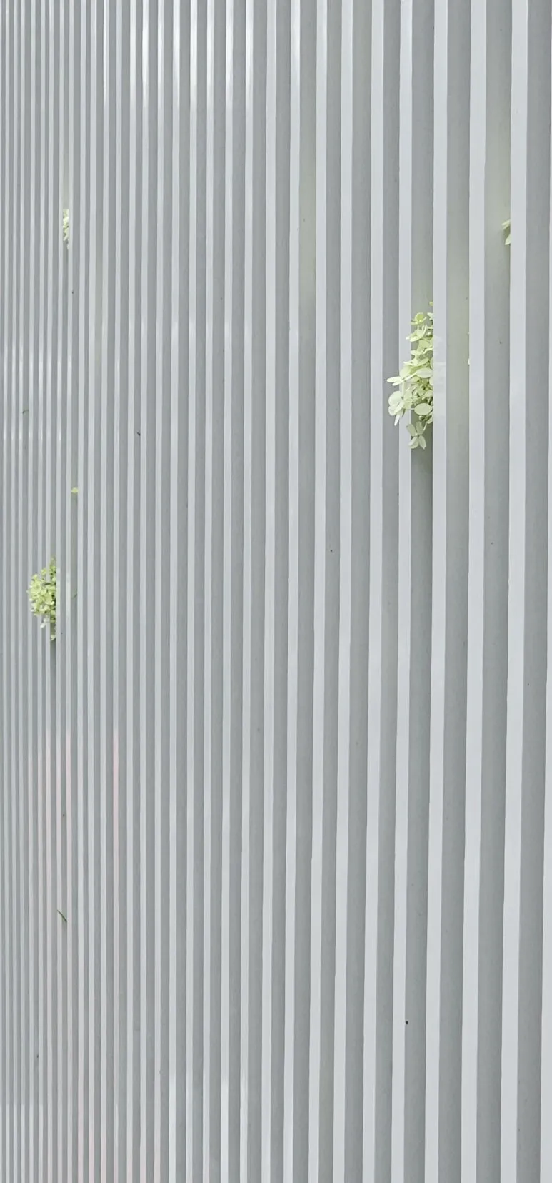 KakaoTalk_20240728_074115003.jpg?type=w773