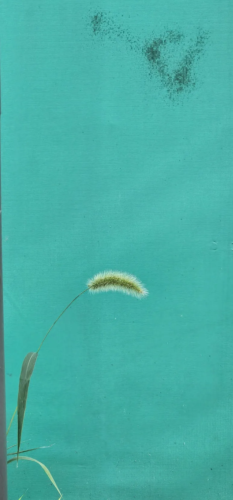 KakaoTalk_20240703_080739294.jpg?type=w773