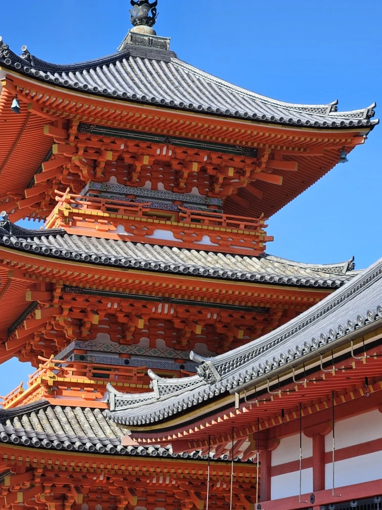 20240117_113821.jpg?type=w773