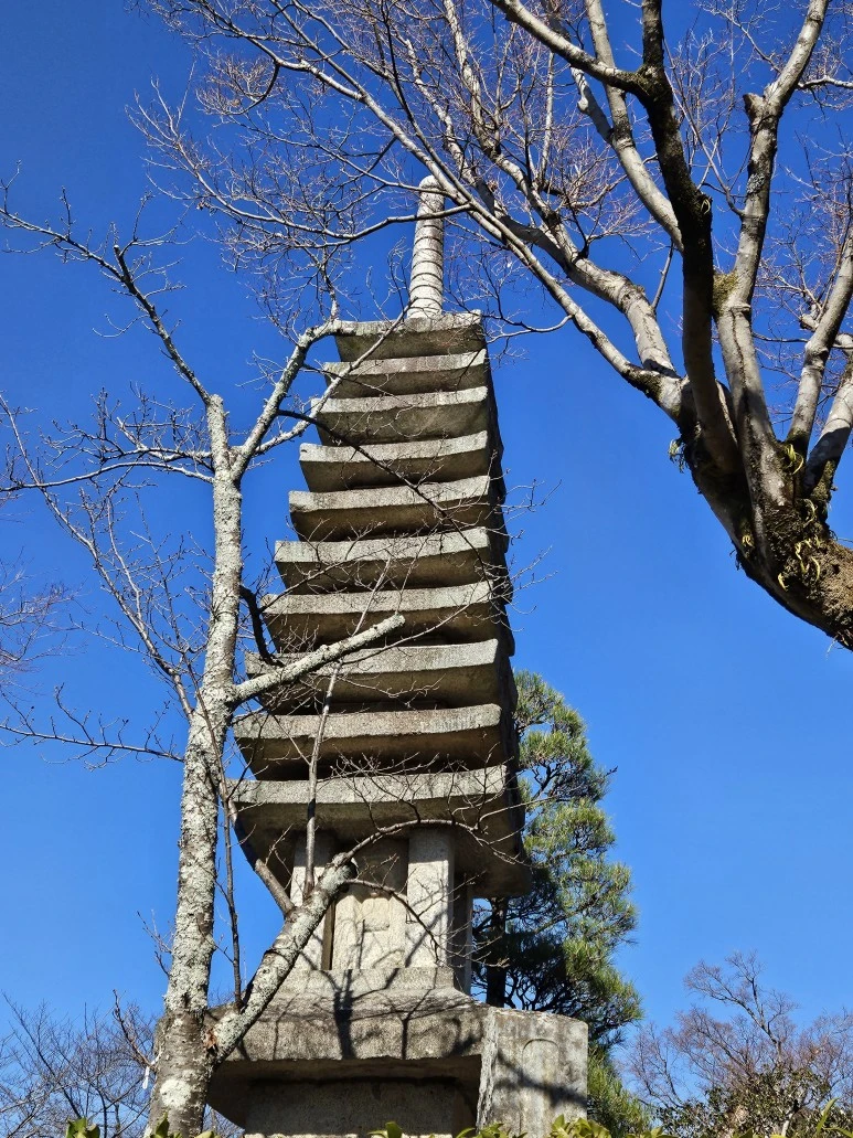 20240117_120409.jpg?type=w773