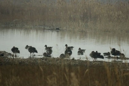 temp_1649197126282.1544656122.jpeg?type=w773