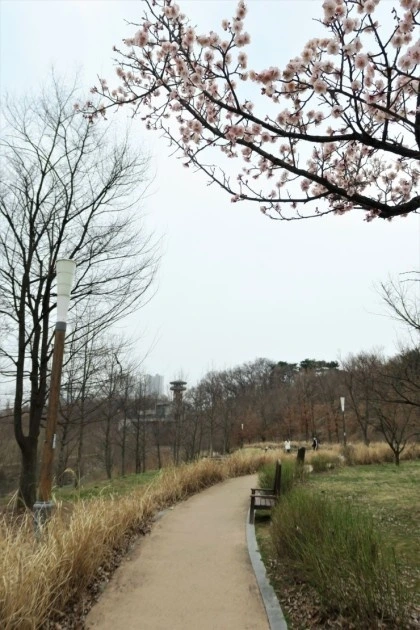 temp_1651012230408.-1333676636.jpeg?type=w773