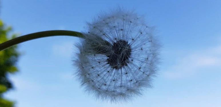 wlqmfh.png?type=w1600