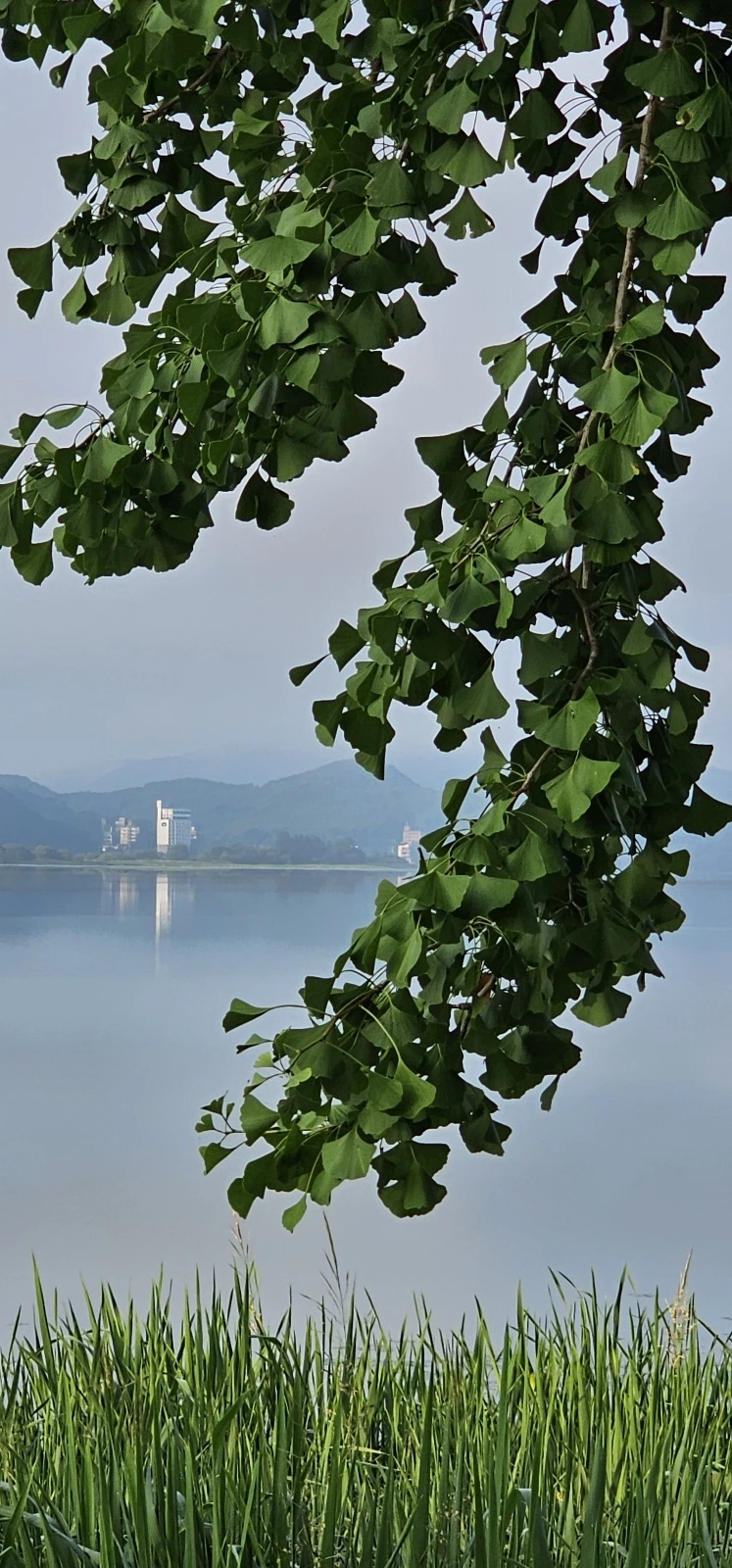 temp_1687990500575.-1787807184.jpeg?type=w773