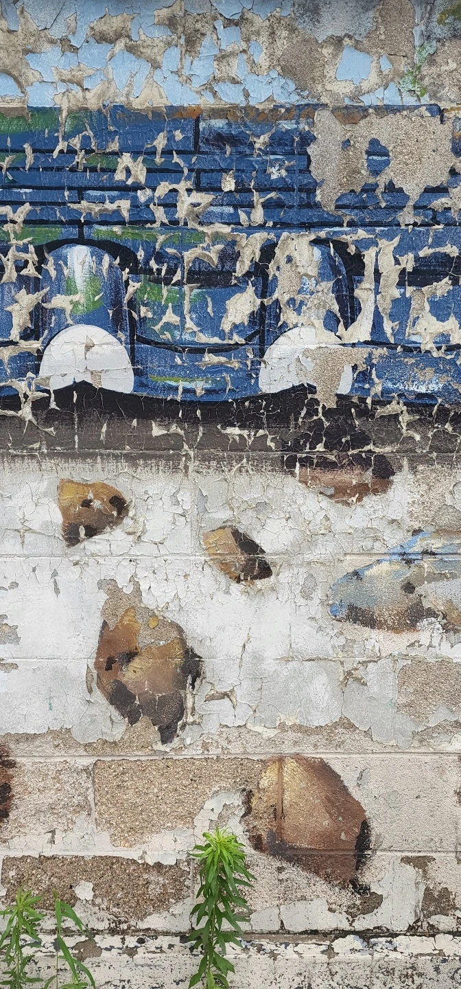 temp_1656887551689.-540130667.jpeg?type=w773