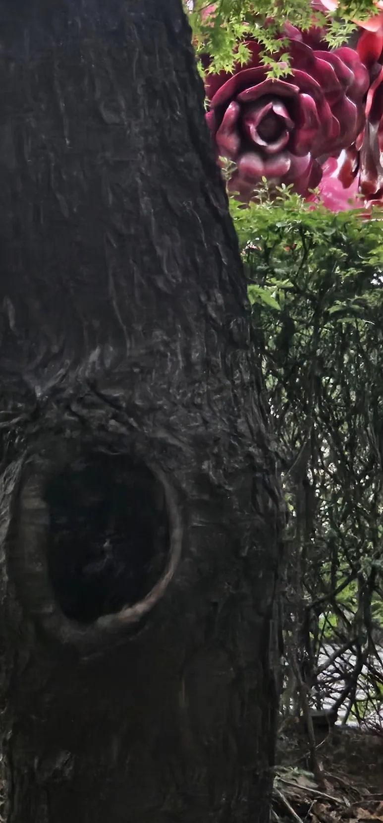 KakaoTalk_20240709_140110682.jpg?type=w773