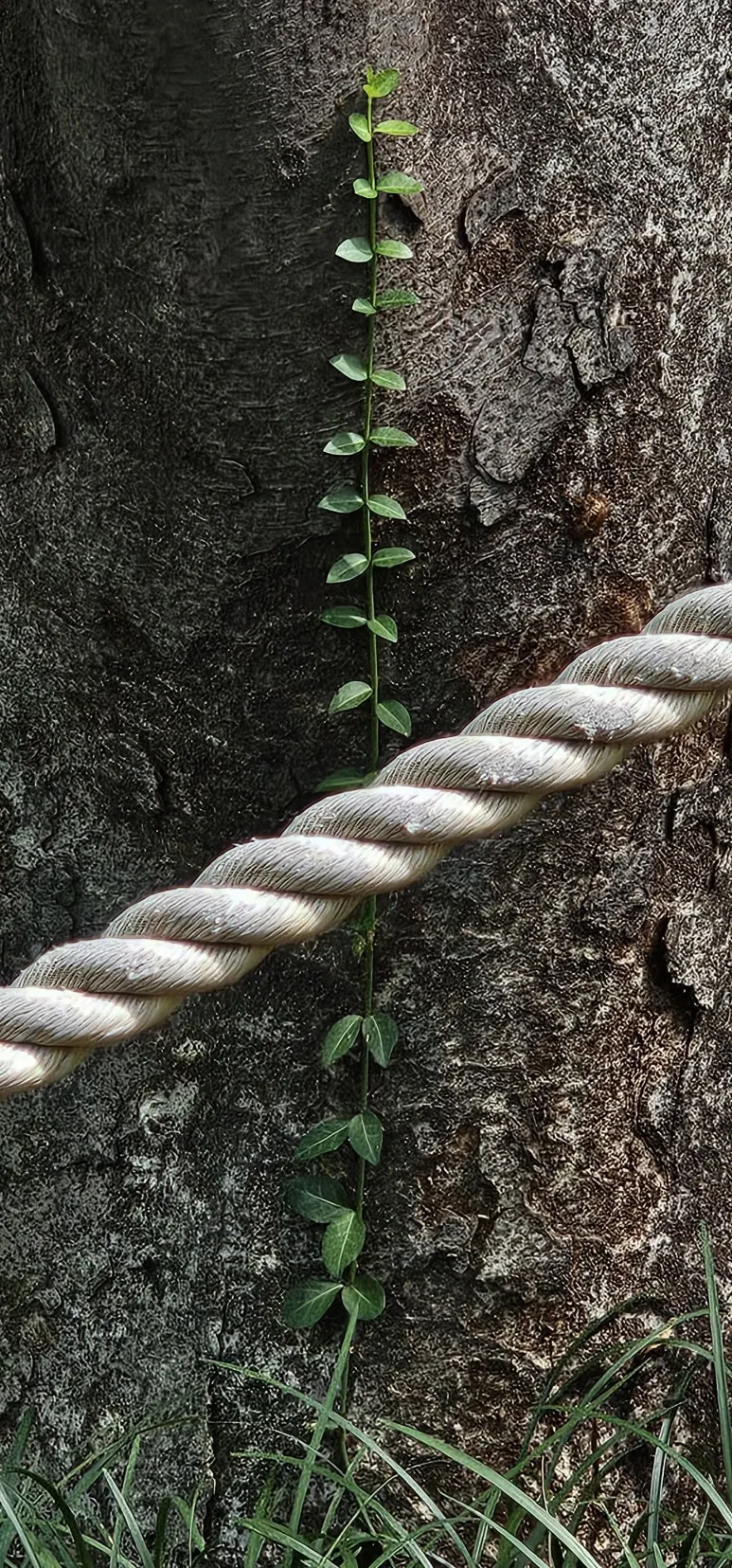 temp_1727390937839.-1035329473.jpeg?type=w773