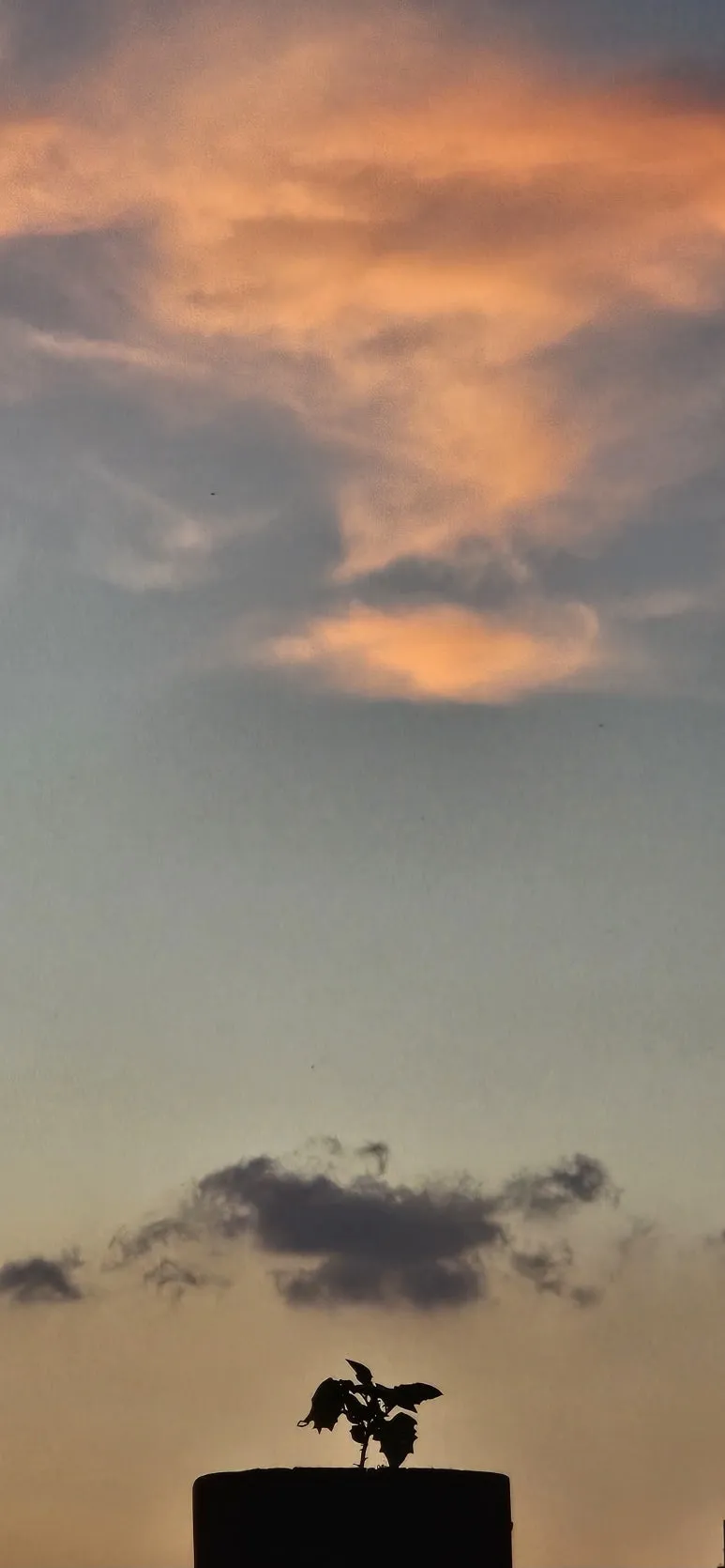 KakaoTalk_20240703_090625486.jpg?type=w773