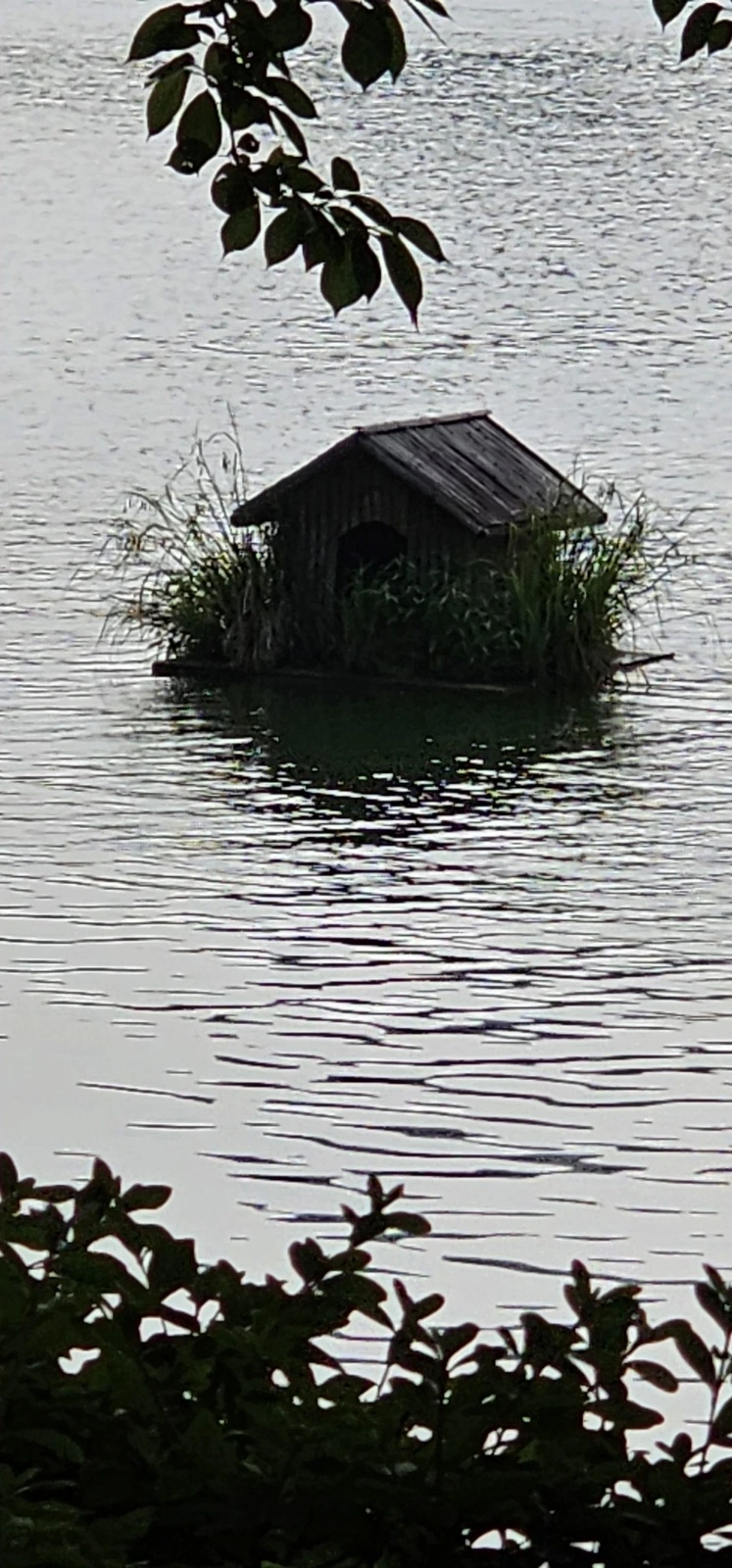 temp_1688074883196.872233243.jpeg?type=w773