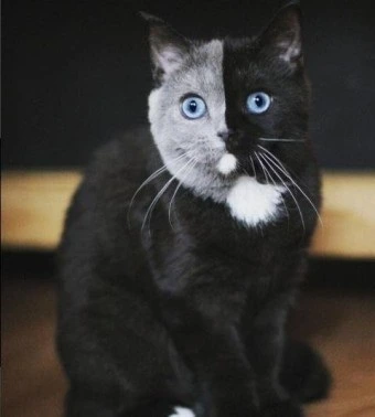 %EB%8B%A4%EC%9A%B4%EB%A1%9C%EB%93%9C_(2).jpg?type=w773