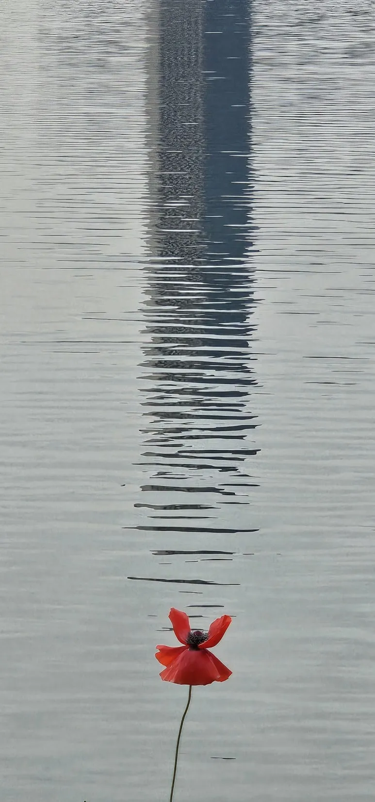 temp_1717109043508.-693292762.jpeg?type=w773